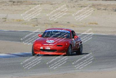 media/Nov-04-2023-CalClub SCCA (Sat) [[cb7353a443]]/Group 3/Cotton Corners (Race)/